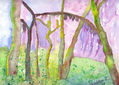 paisaje