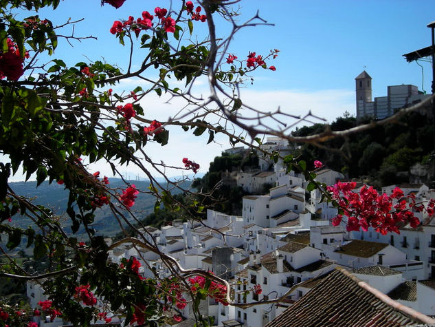 CASARES 