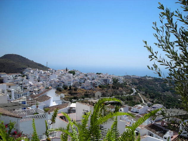 FRIGILIANA 