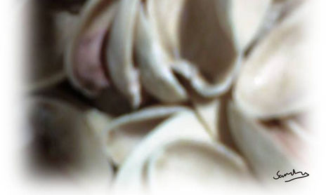 Fotografia