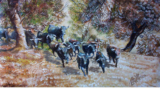 Piara de toros bravos Oil Canvas Landscaping