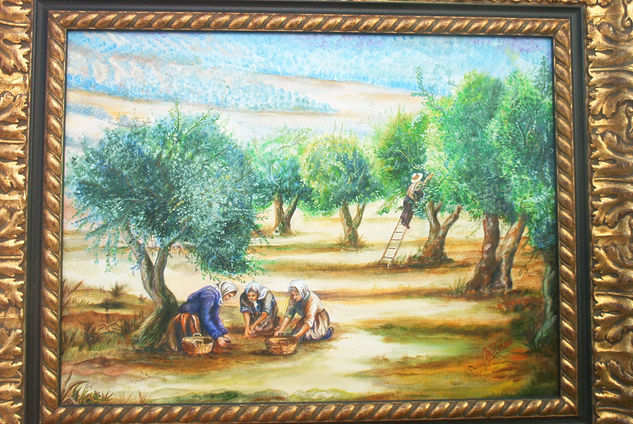 Recogida de la aceituna Oil Canvas Landscaping