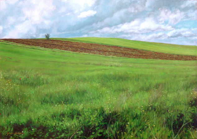 Campo tras la lluvia Oil Canvas Landscaping