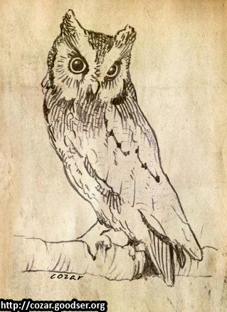Otus scops