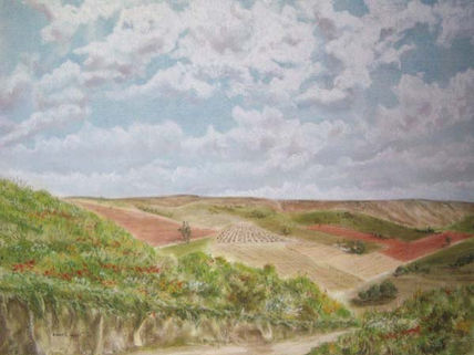 Campos de labor