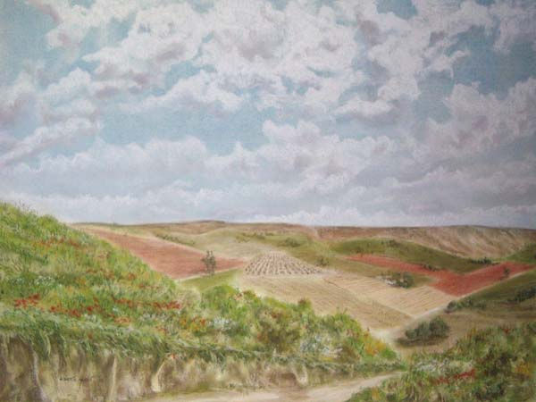 Campos de labor Pastel Paper Landscaping