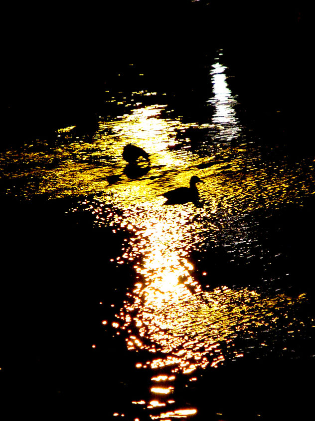 RÍO DE ORO