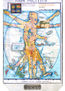 “ATLAS DEL ORIGEN Y EVOLUCION DEL HOMBRE” (DETALLE 7)