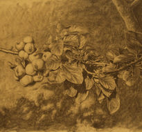 Rama con manzanas