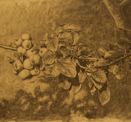 Rama con manzanas