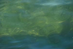 Agua I