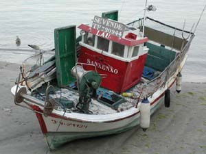 Barco en venta. 