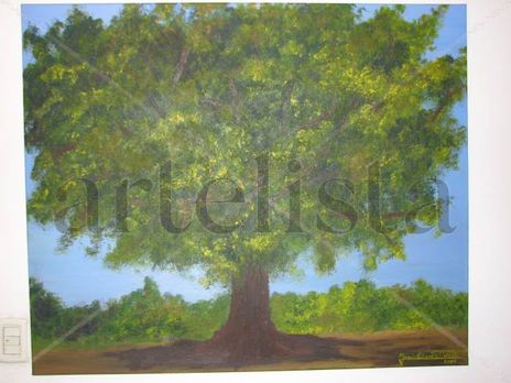 El Arbol