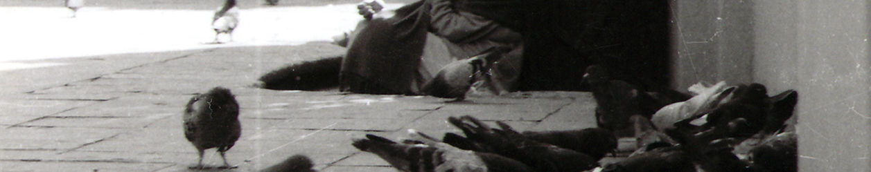 Imagen de portada