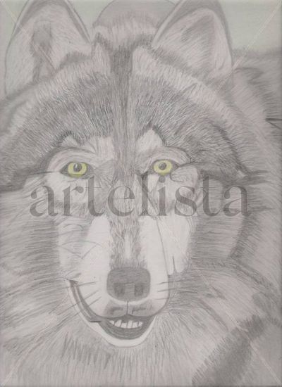 El Lobo Charcoal