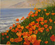 campo de tulipanes
