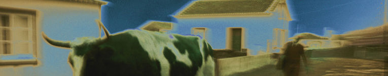 Imagen de portada