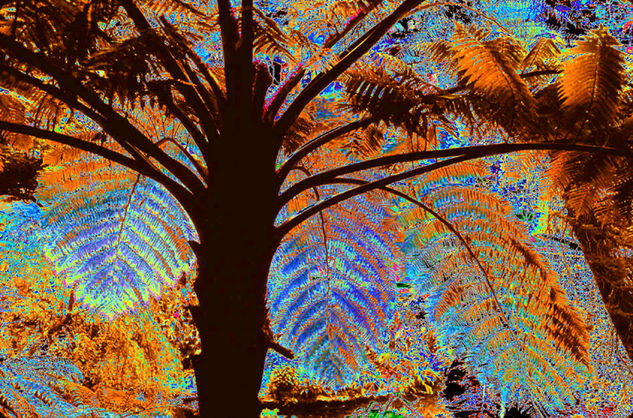 Gigante de la Floresta Naturaleza Color (Digital)