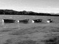 Olas en el lago