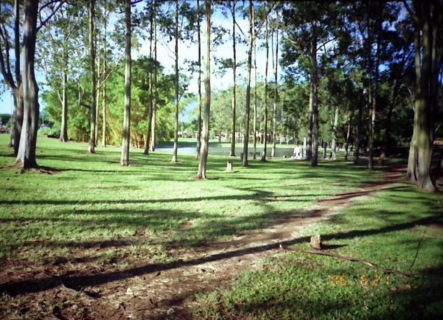 Parque Sabana Nature Color (Manual)