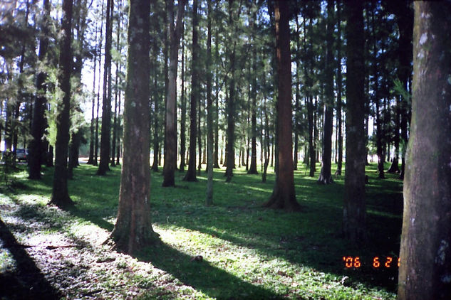 Sombras Nature Color (Manual)