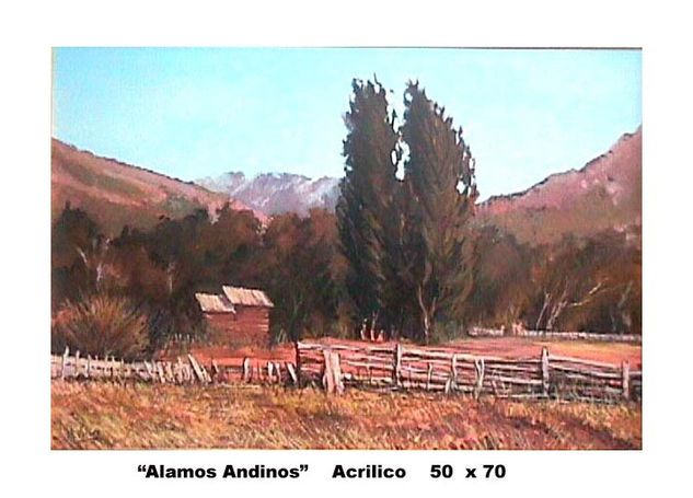 Alamos Andinos Acrylic Others