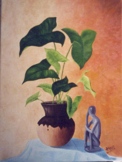 Planta con...