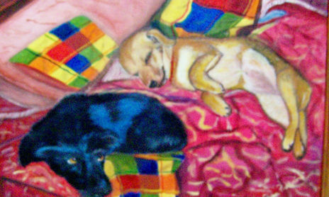 ANIMALES