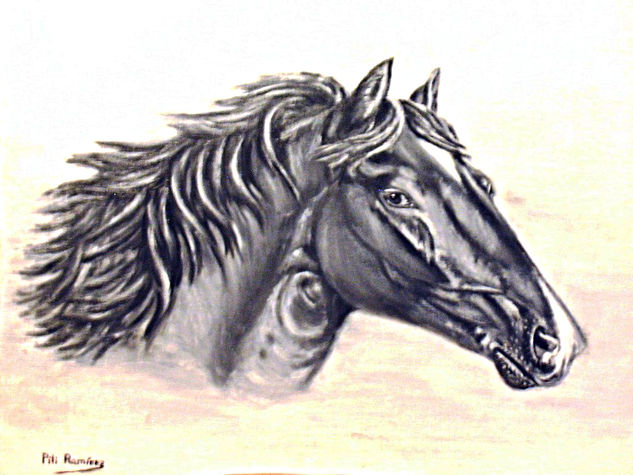 Caballo Óleo Lienzo Animales