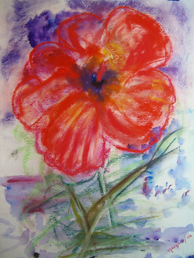 FLOR ROJA DE SAVANNAH