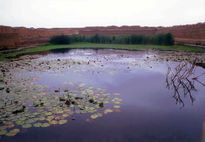 Albufera de Chan Chan