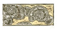 nautilus "naturalez y círculos"
