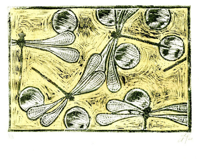 libelulas "naturalez y círculos" 