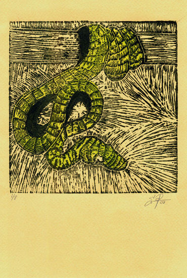 Serpiente 