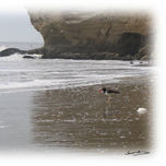 Fotografia thumbnail 1