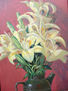 Lilium.