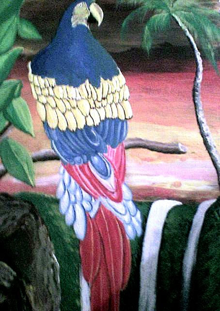 CASCADAS DE ENSUEÑOS CON GUACAMAYA