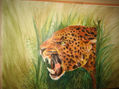 tigre