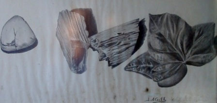 "Estudio de texturas" Charcoal