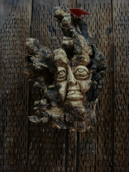 Ilusionado. Wood Figurative