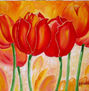 Tulipanes 2