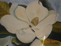 Magnolia