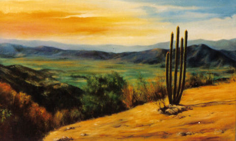 Paisajes