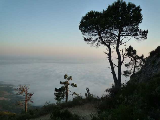 MAR DE NUBES 