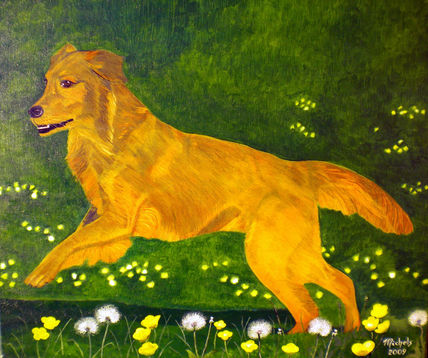 Golden Retriever