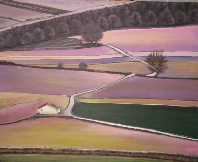 campo de navarra