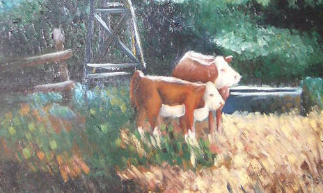 Campo