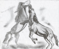 Caballos Salvajes