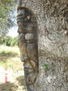 arbol3