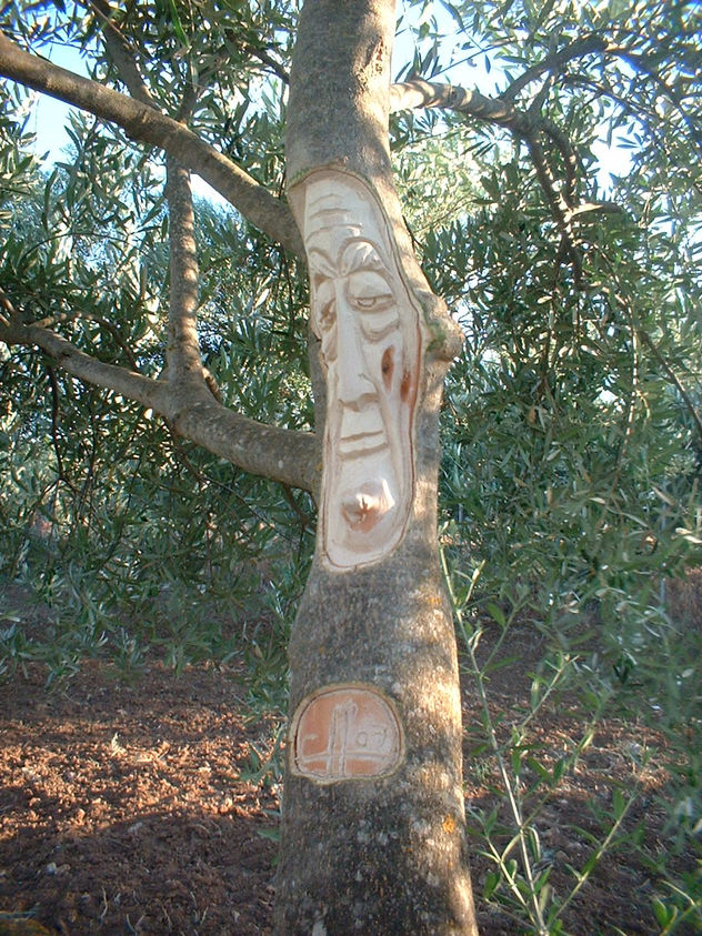 arbol8